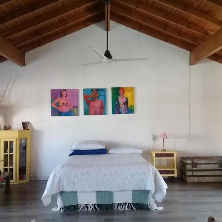 La Casa De Los Murales Avellaneda  Dış mekan fotoğraf